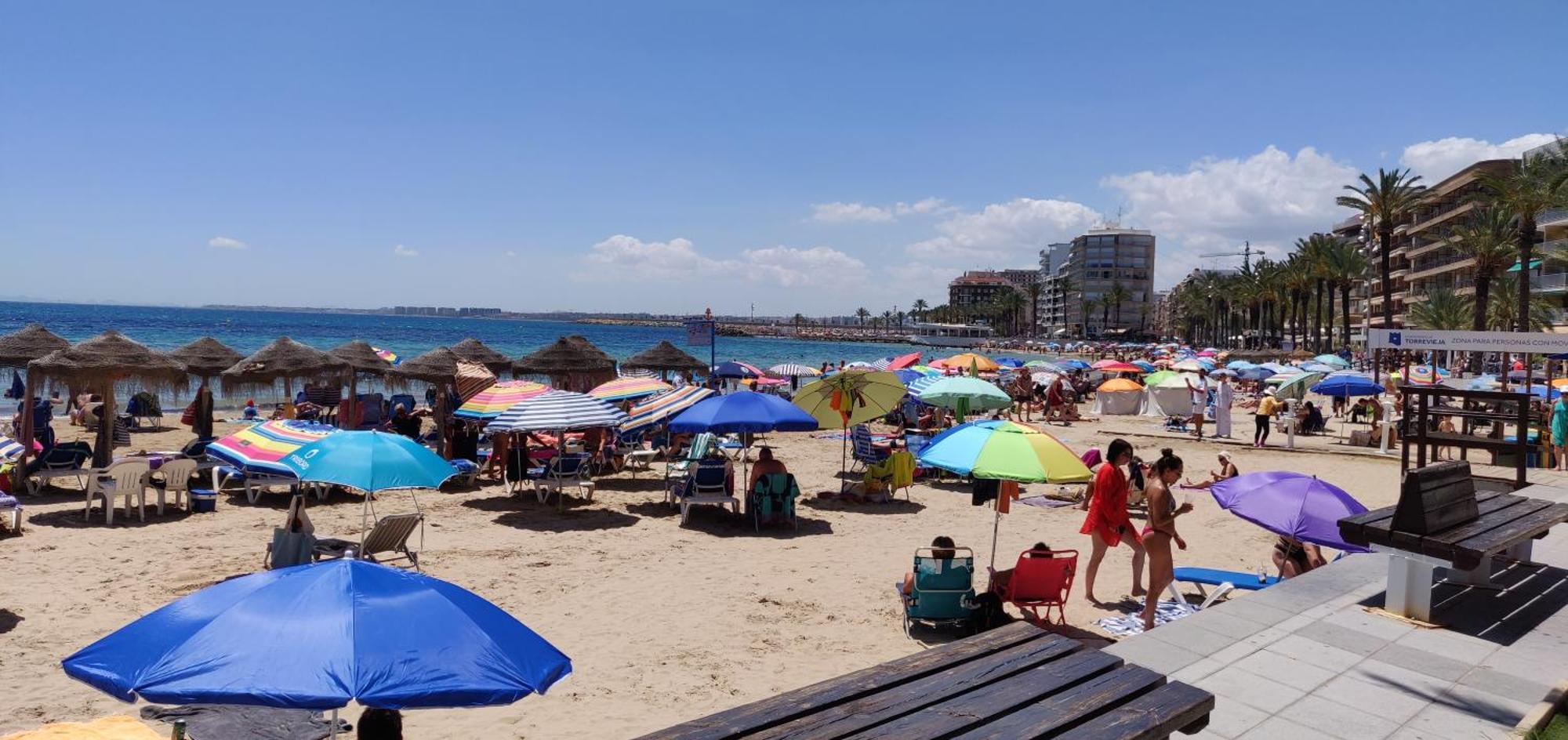 Apartamento Adrianna, Tomillo, Torrevieja Exteriör bild